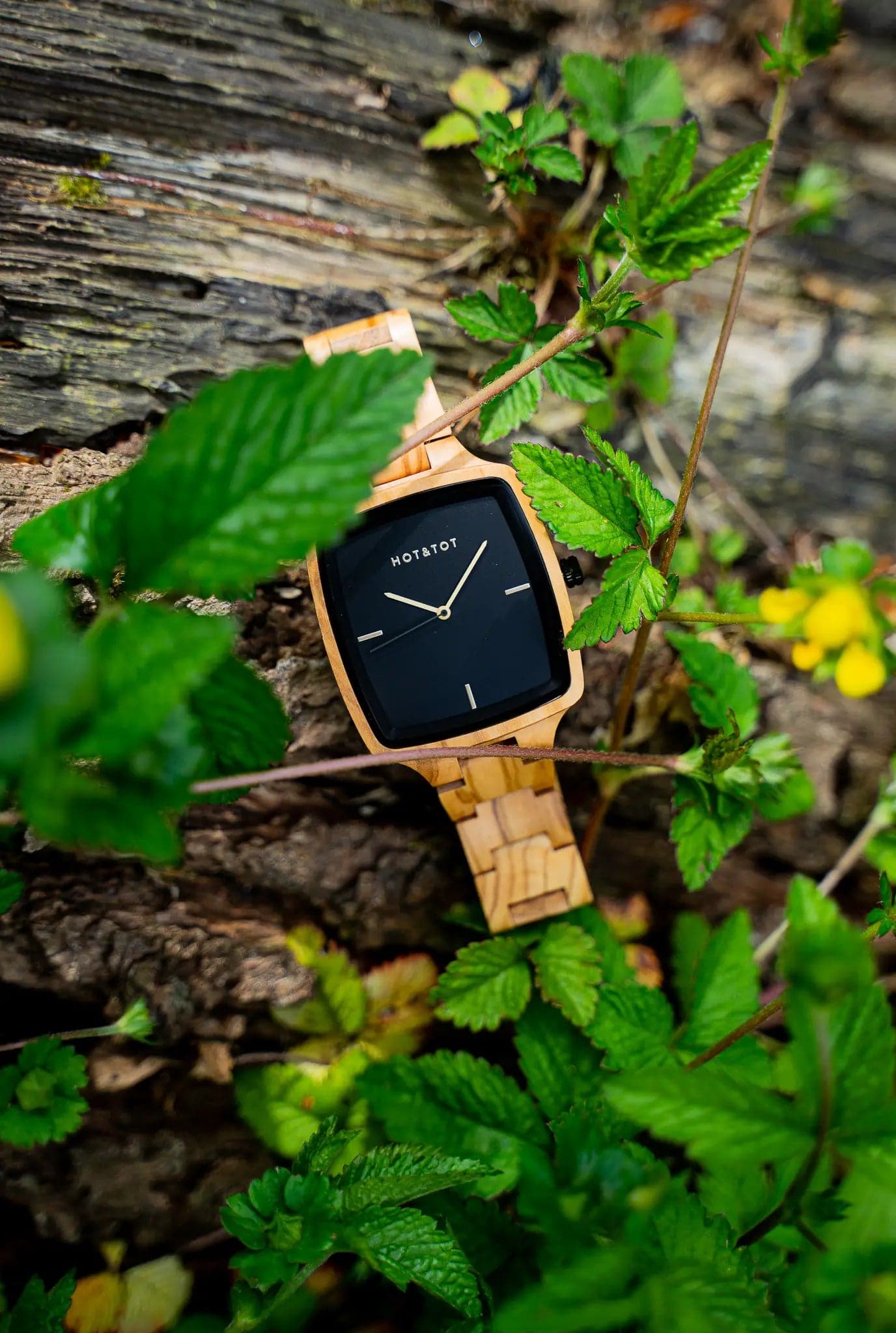 Odin Unisex Square Wood Watch from HOT&TOT-40mm, Olive Wood - Minutes Hours Days Watch Emporium 