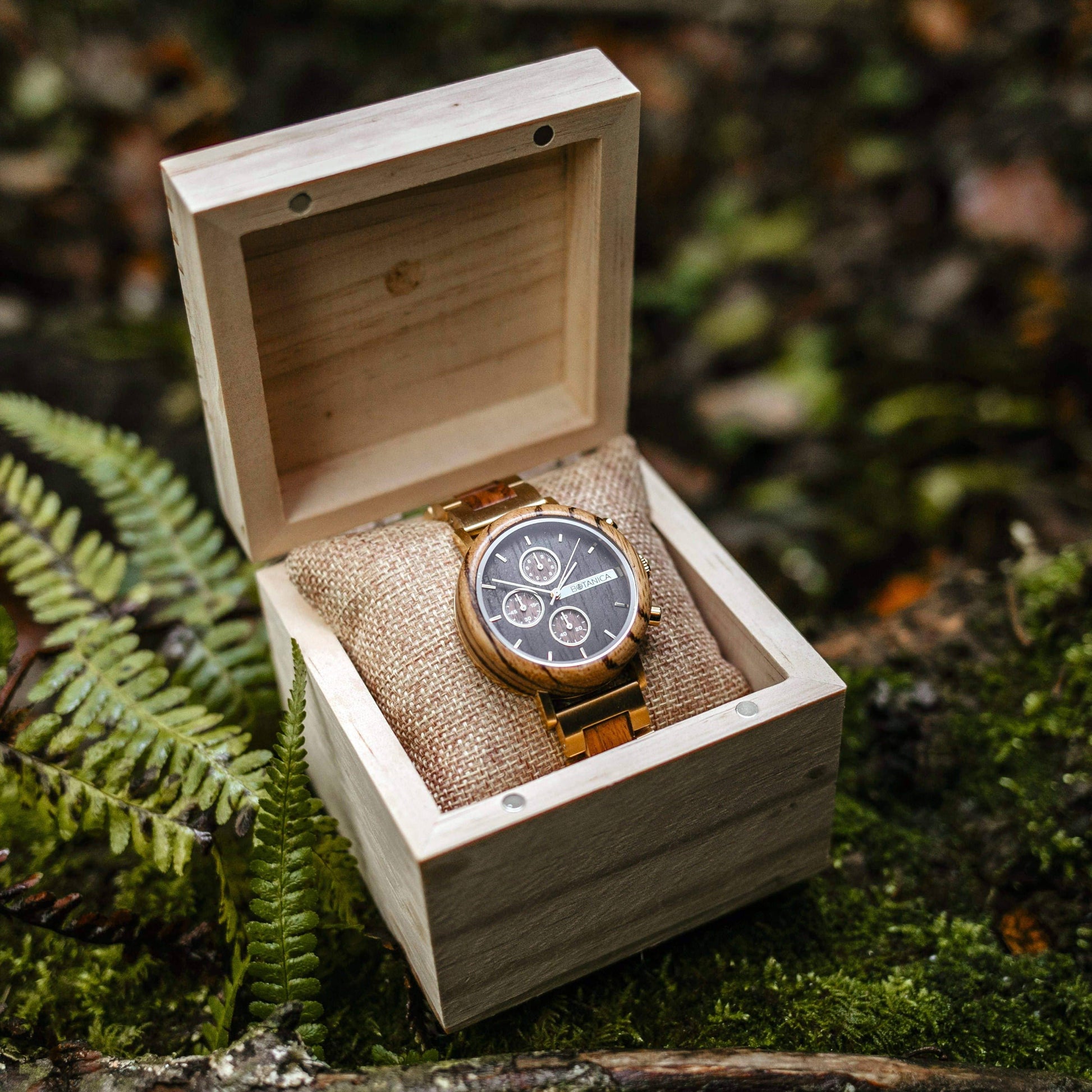 Wood is Good: Men's Watch | Gold/Ebony | Zebra Wood | 43mm | Quartz - MinutesHoursDays